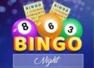 The du Maurier Fowey Literary Festival Fundraiser  Bingo Night